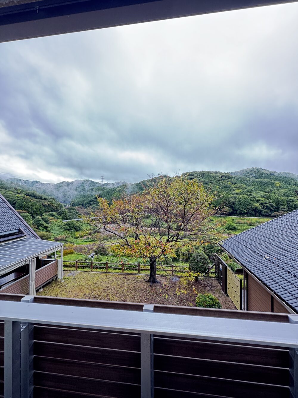 客室の窓から見えた木々と山の景色