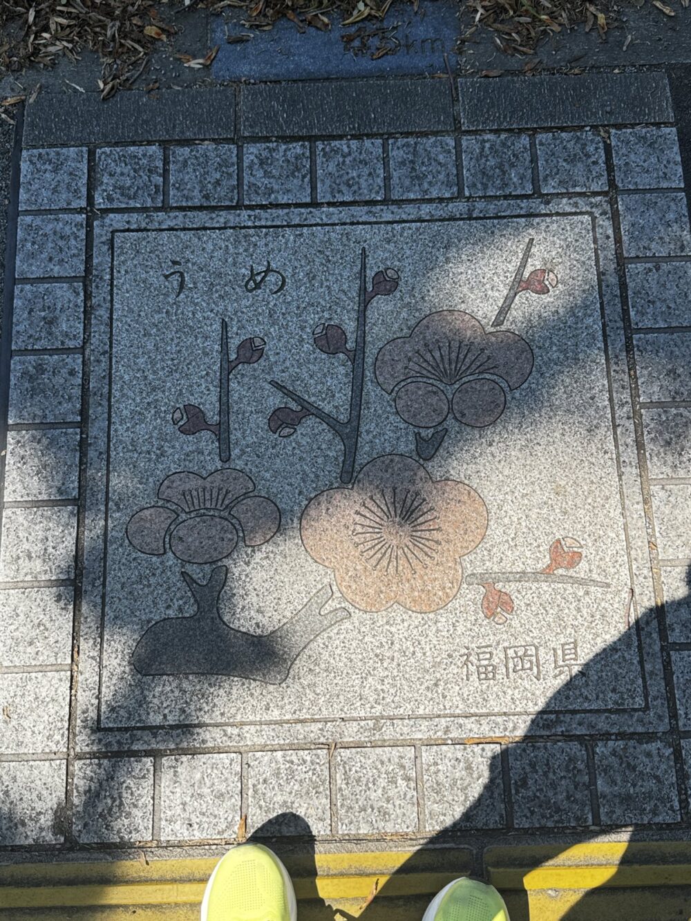 100mごとの都道府県タイル。福岡は4.5km地点