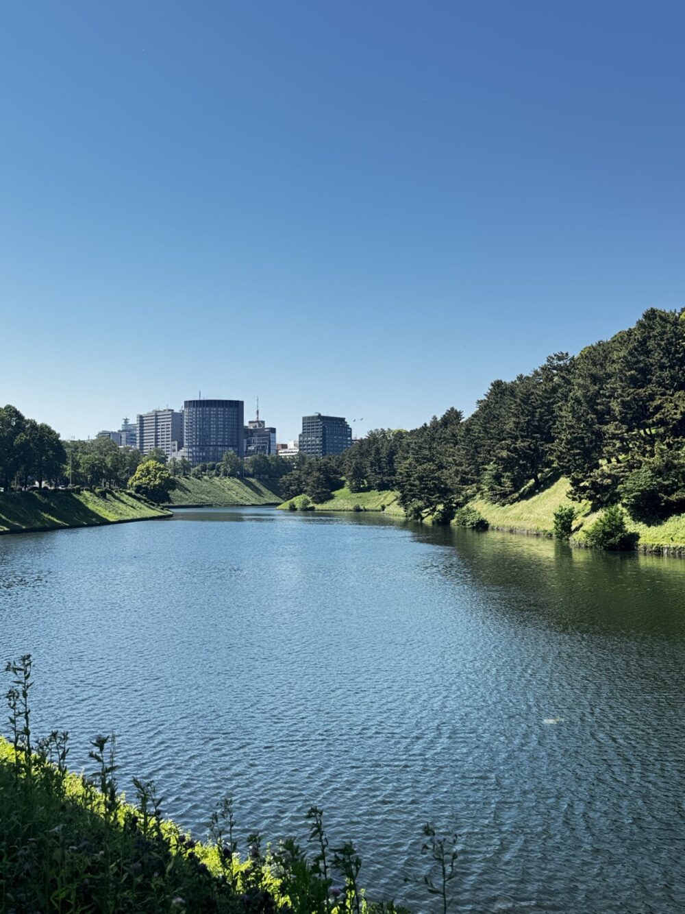 皇居外苑